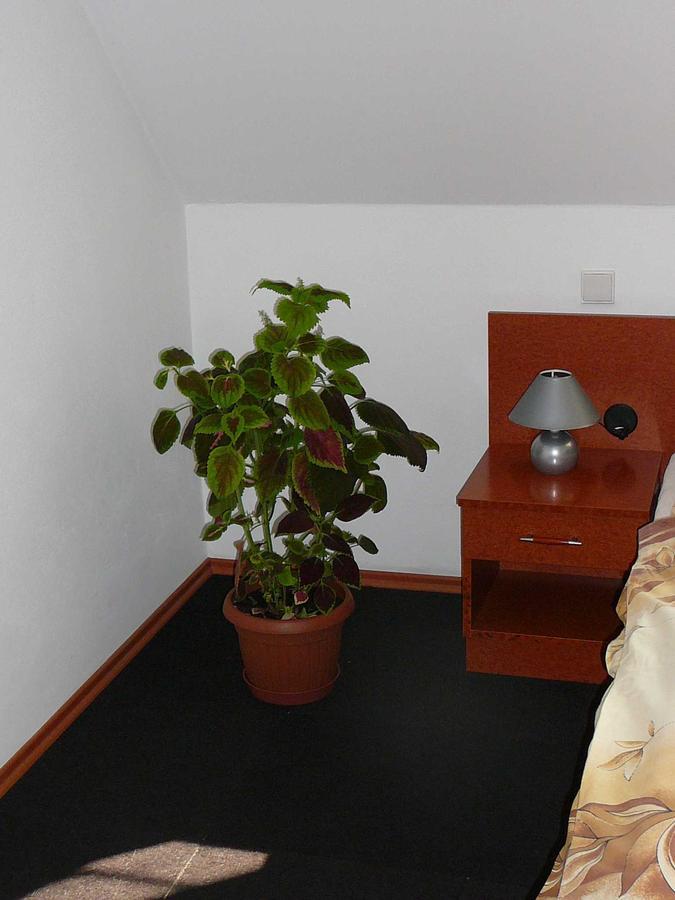 Penzion Praktik Krumlov Přísečná Zimmer foto